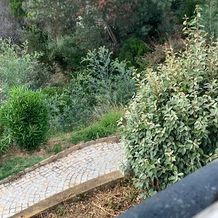 Tres Joli Studio شقة *